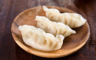 Chicken Dumplings